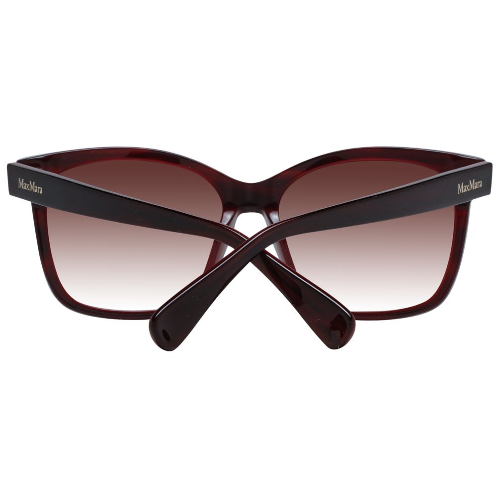 Max Mara Burgundy Plastic Sunglasses