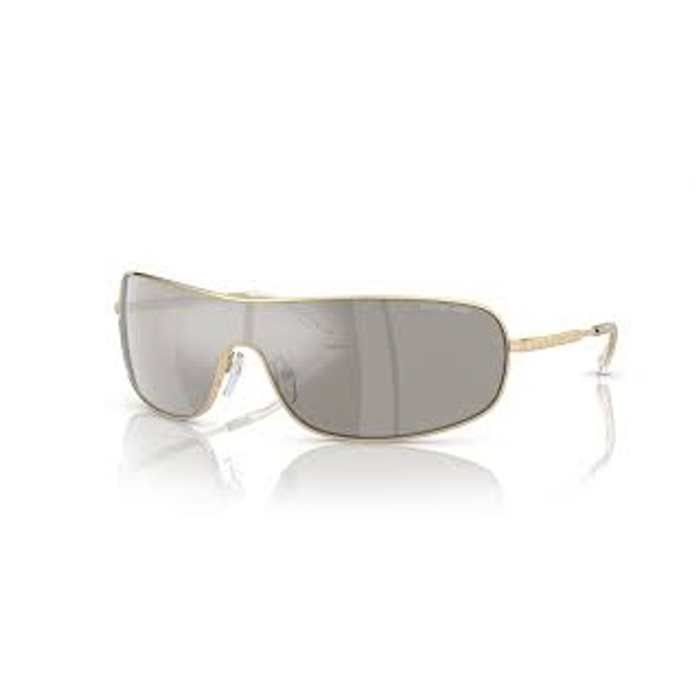 Michael Kors Gold Metal Sunglasses