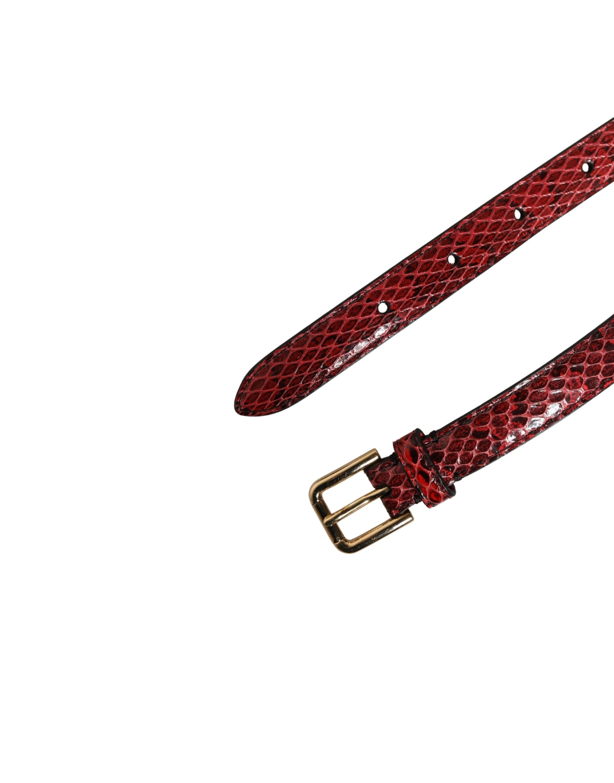 Dolce & Gabbana Roter Taillengürtel aus Leder mit Gänseblümchen-Kristallverzierung