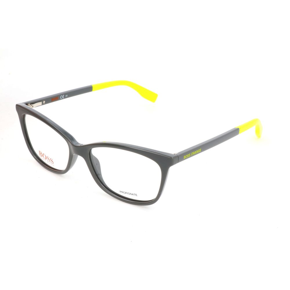 Hugo Boss Gray Injected Glasses (Frames)