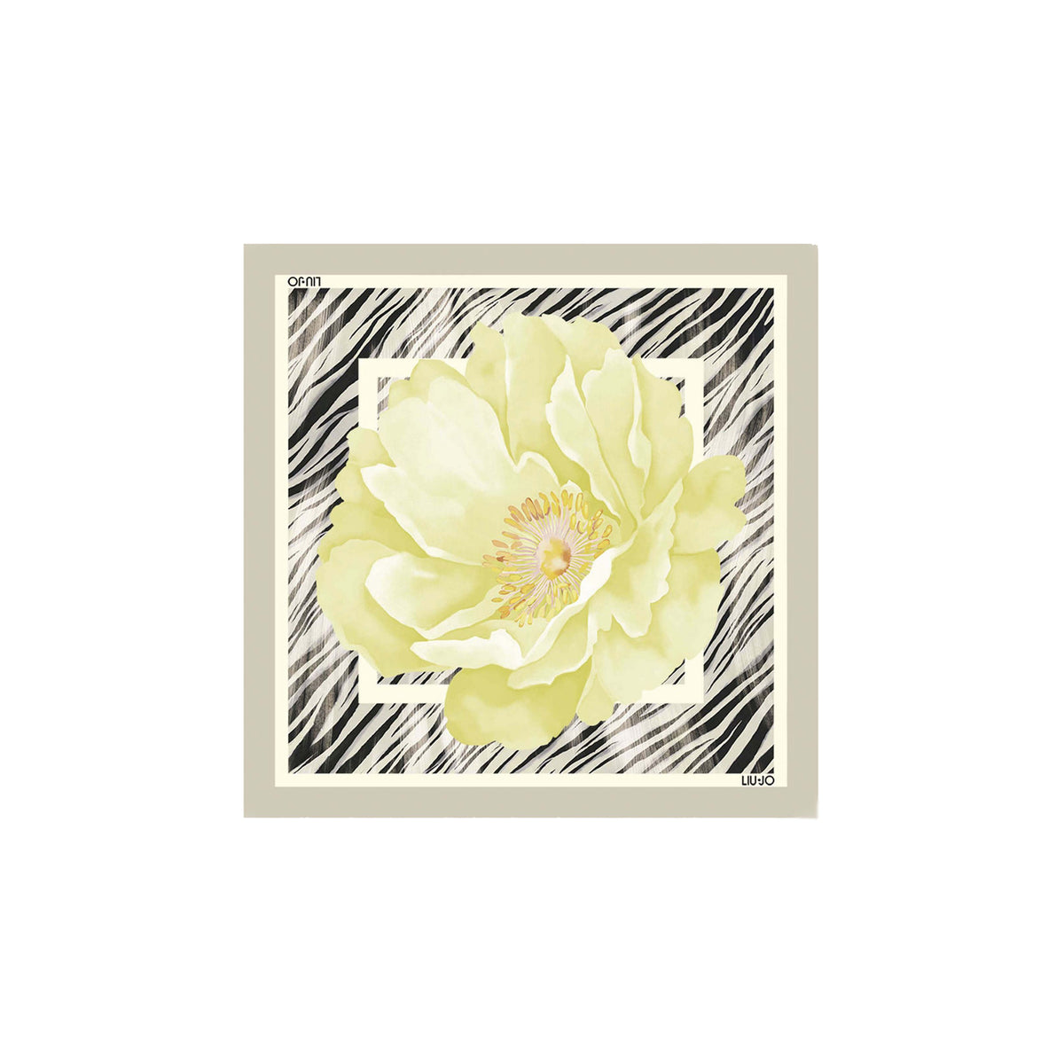 Liu Jo Women Scarve
