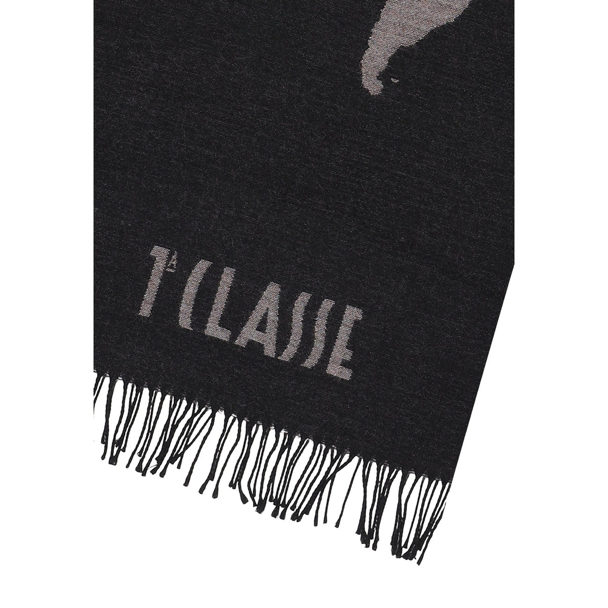 Alviero Martini Prima Classe Women Scarve