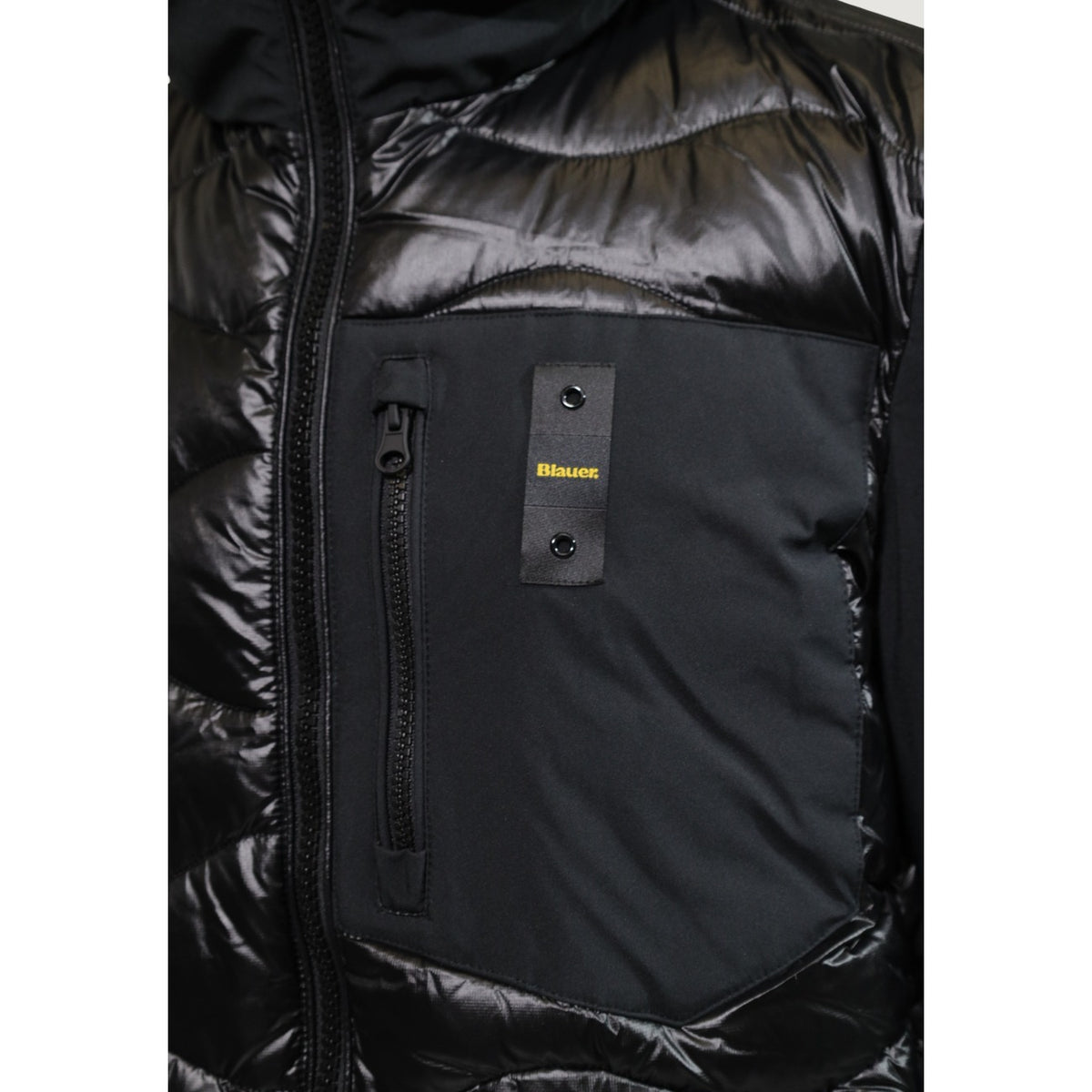 Blauer. Men Blazer