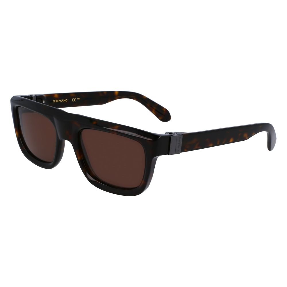 Ferragamo Brown Acetate Sunglasses