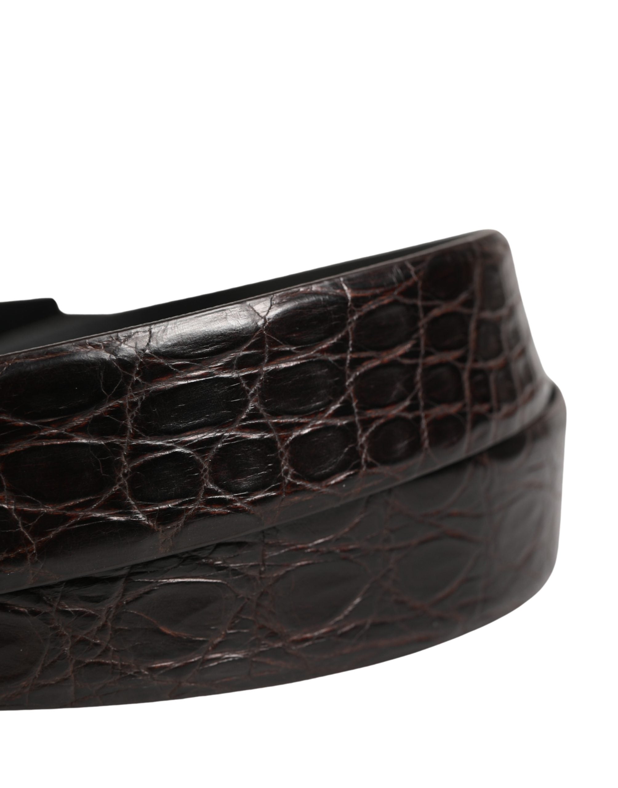 Dolce & Gabbana Herren Gürtel Schwarzes Exotisches Leder Logoschnalle