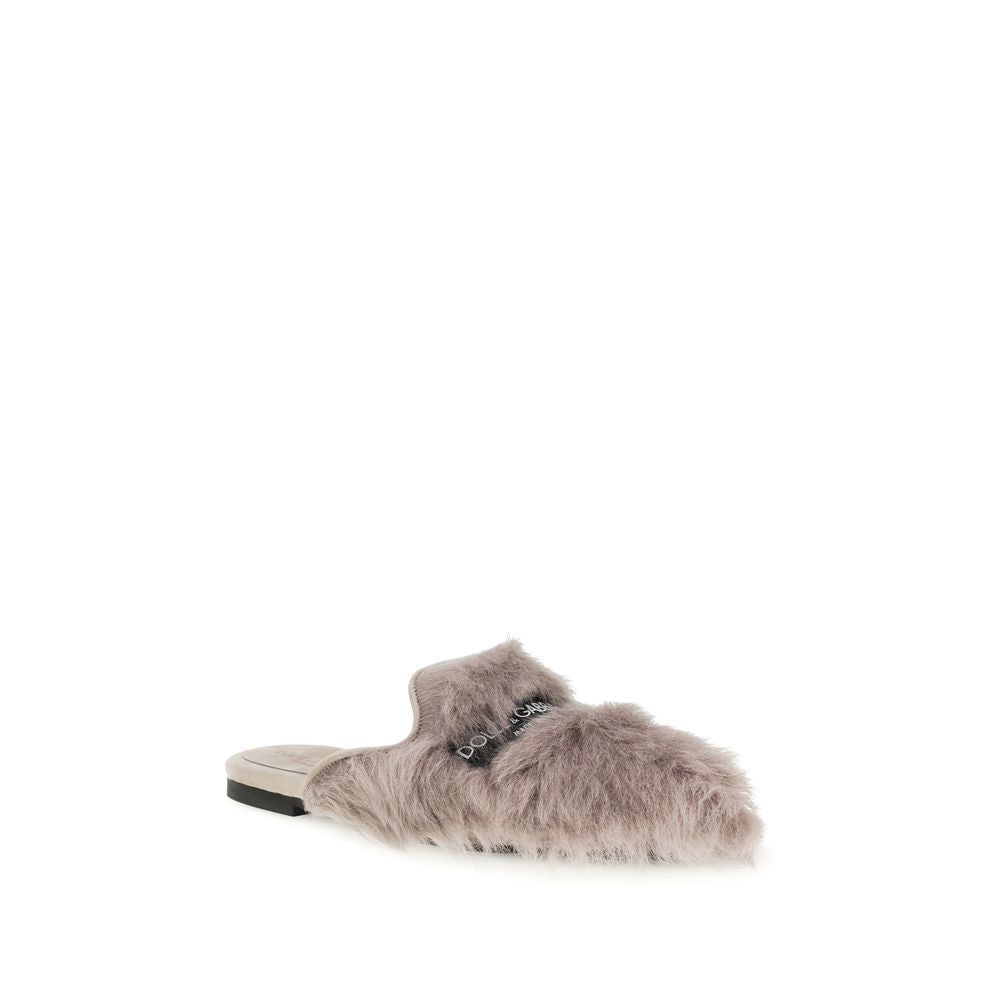 Mules Dolce & Gabbana grises en agneau Ovis Aries Aries