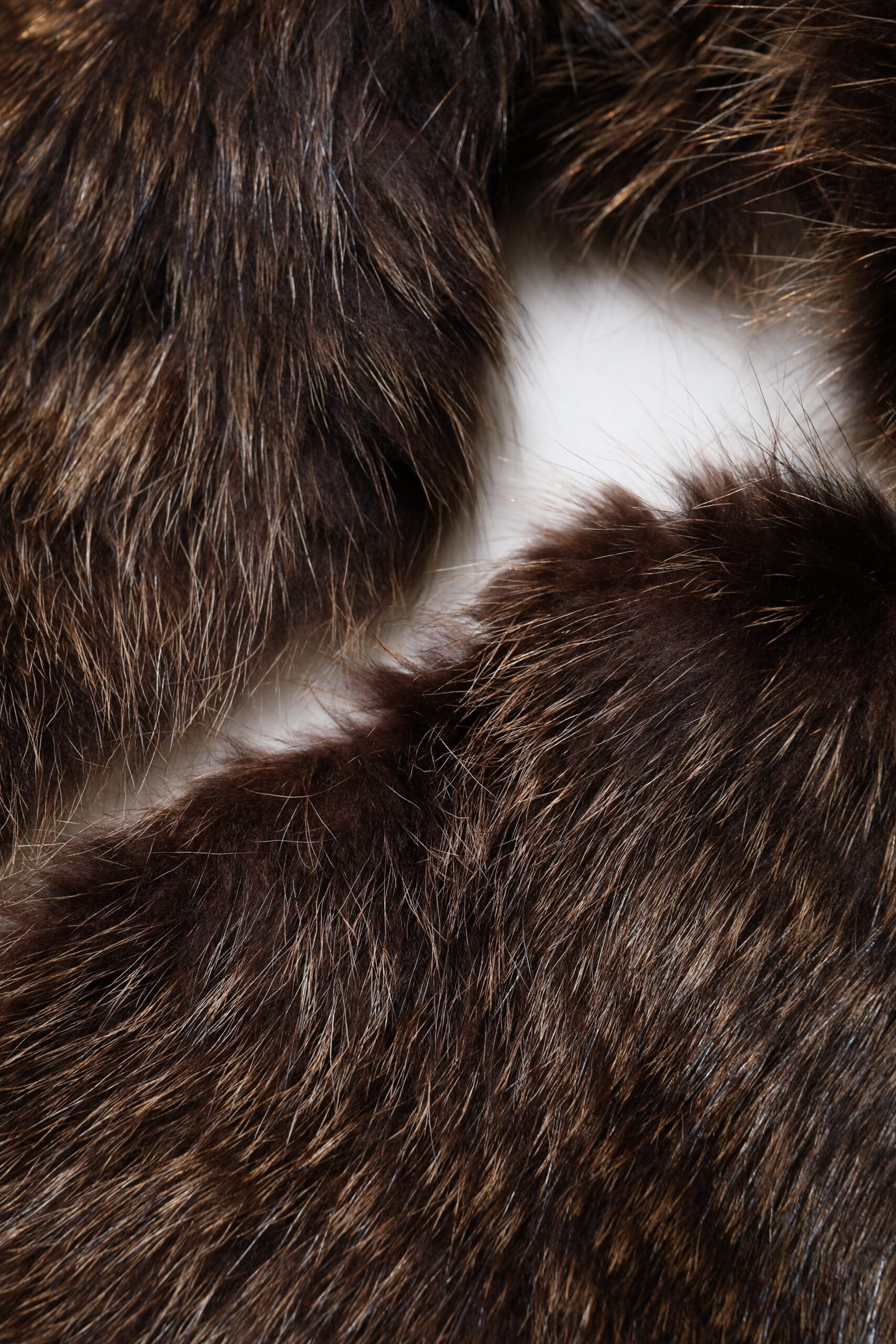 Dolce & Gabbana Brown Raccoon Fur Neck Warmer Winter Scarf