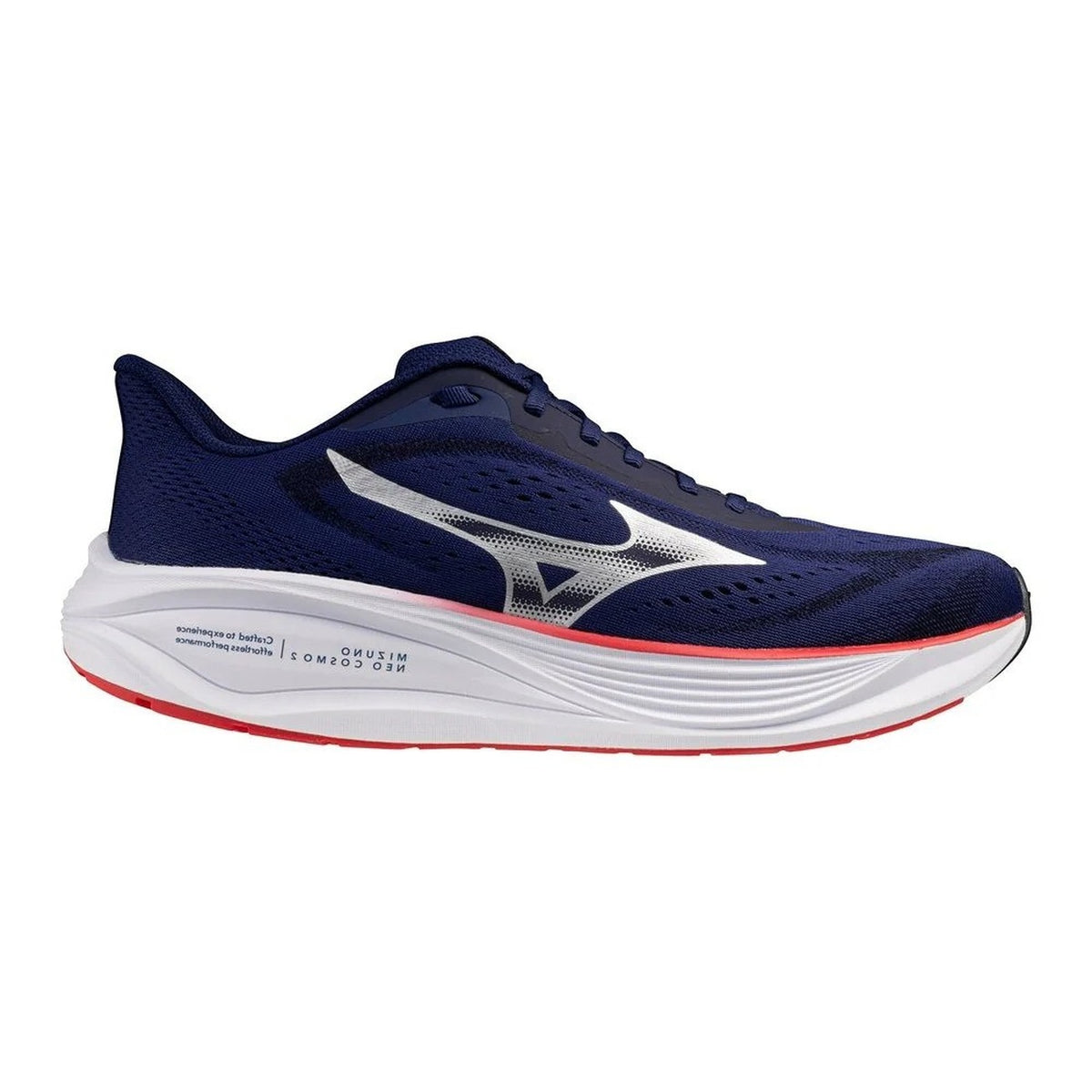 Mizuno Men Sneakers