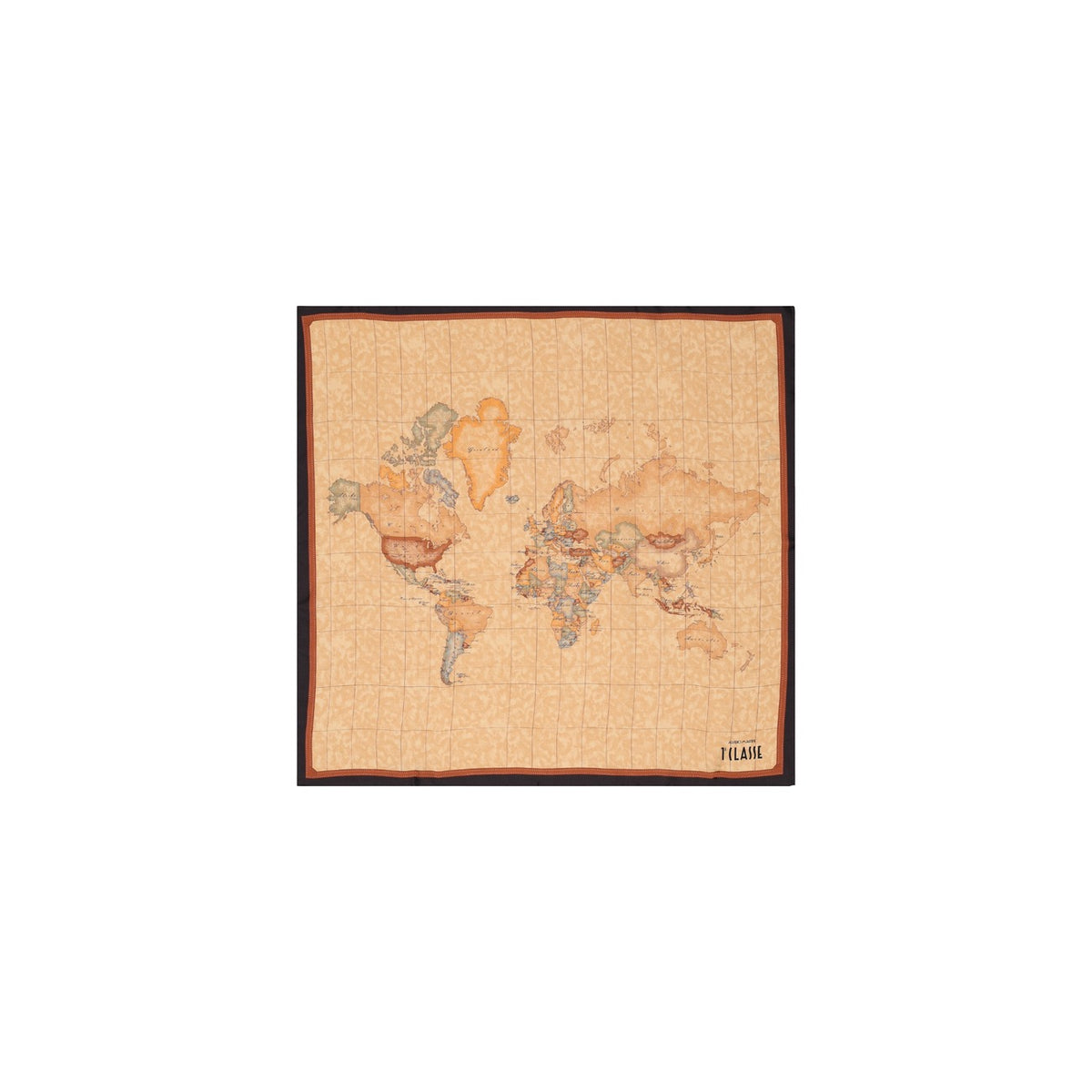 Alviero Martini Prima Classe  Women Scarve