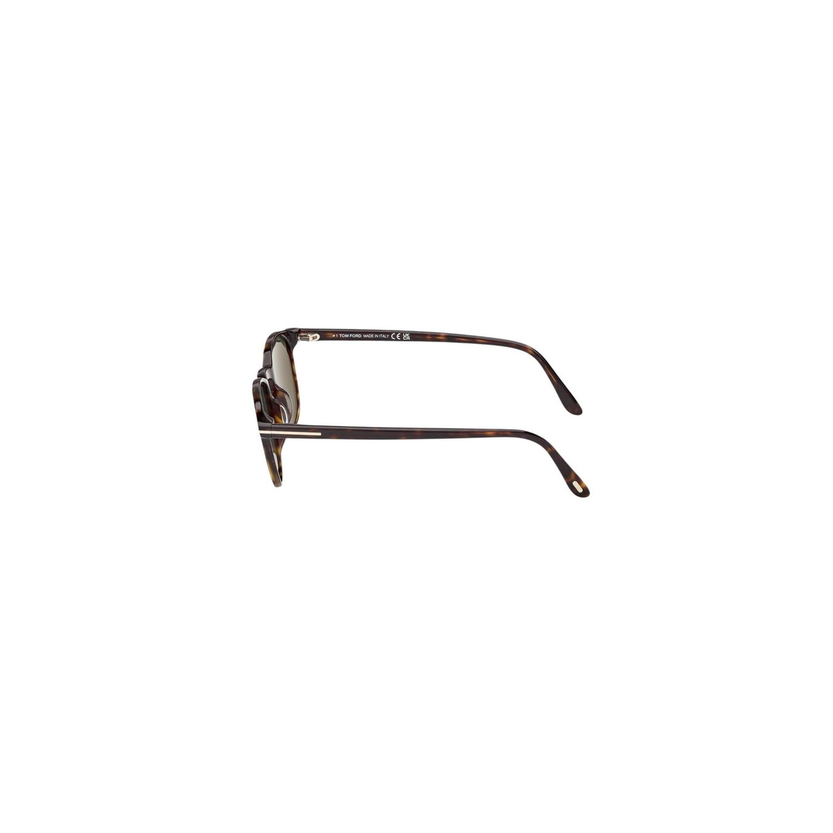 Tom Ford Men Sunglasses