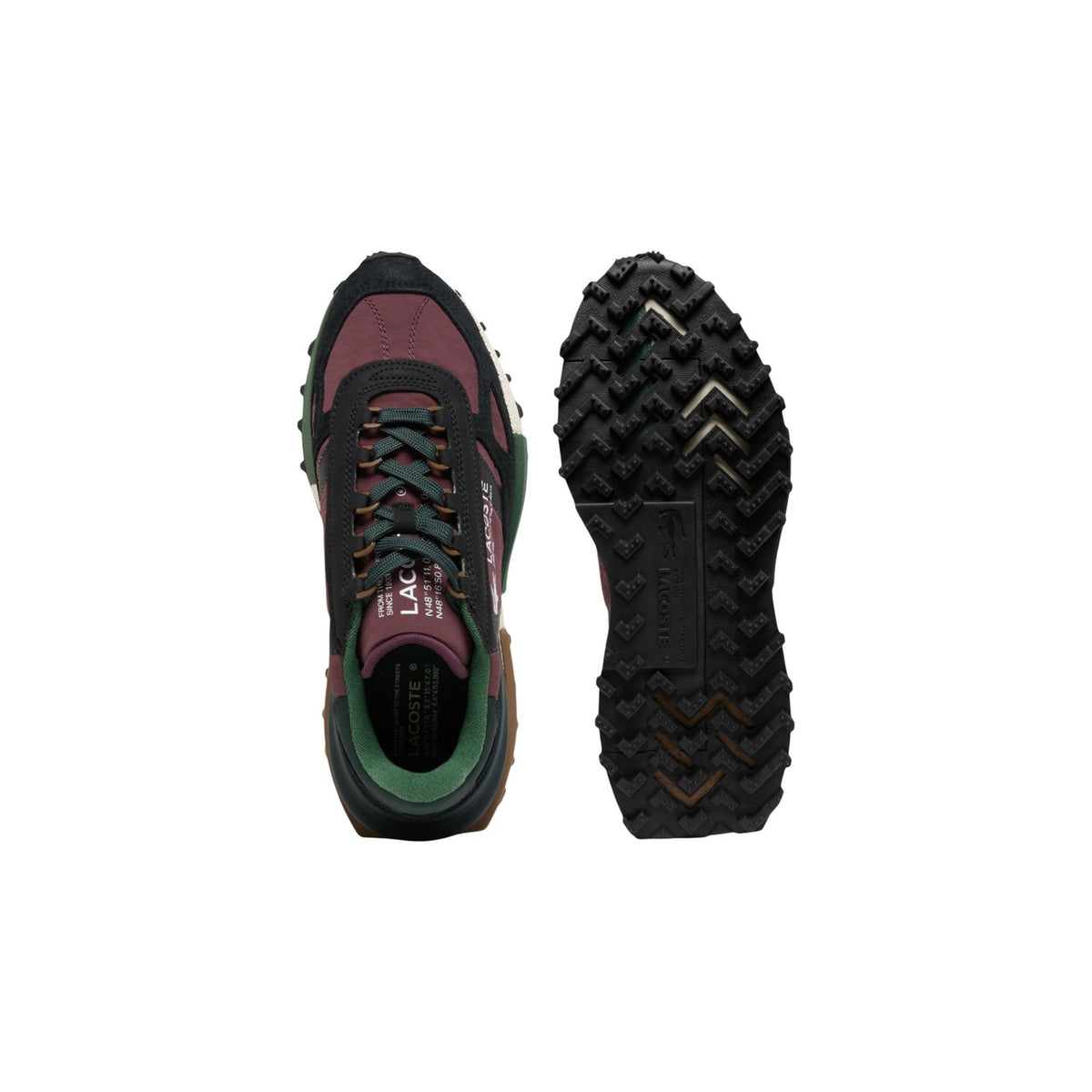 Lacoste Men Sneakers