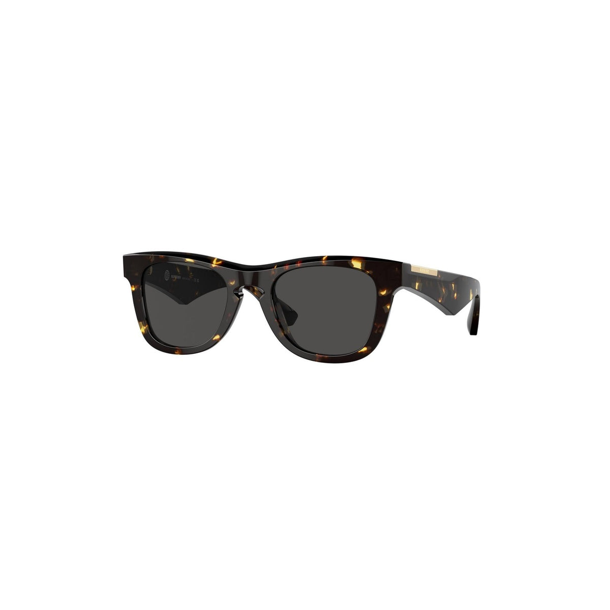 Burberry Men Sunglasses