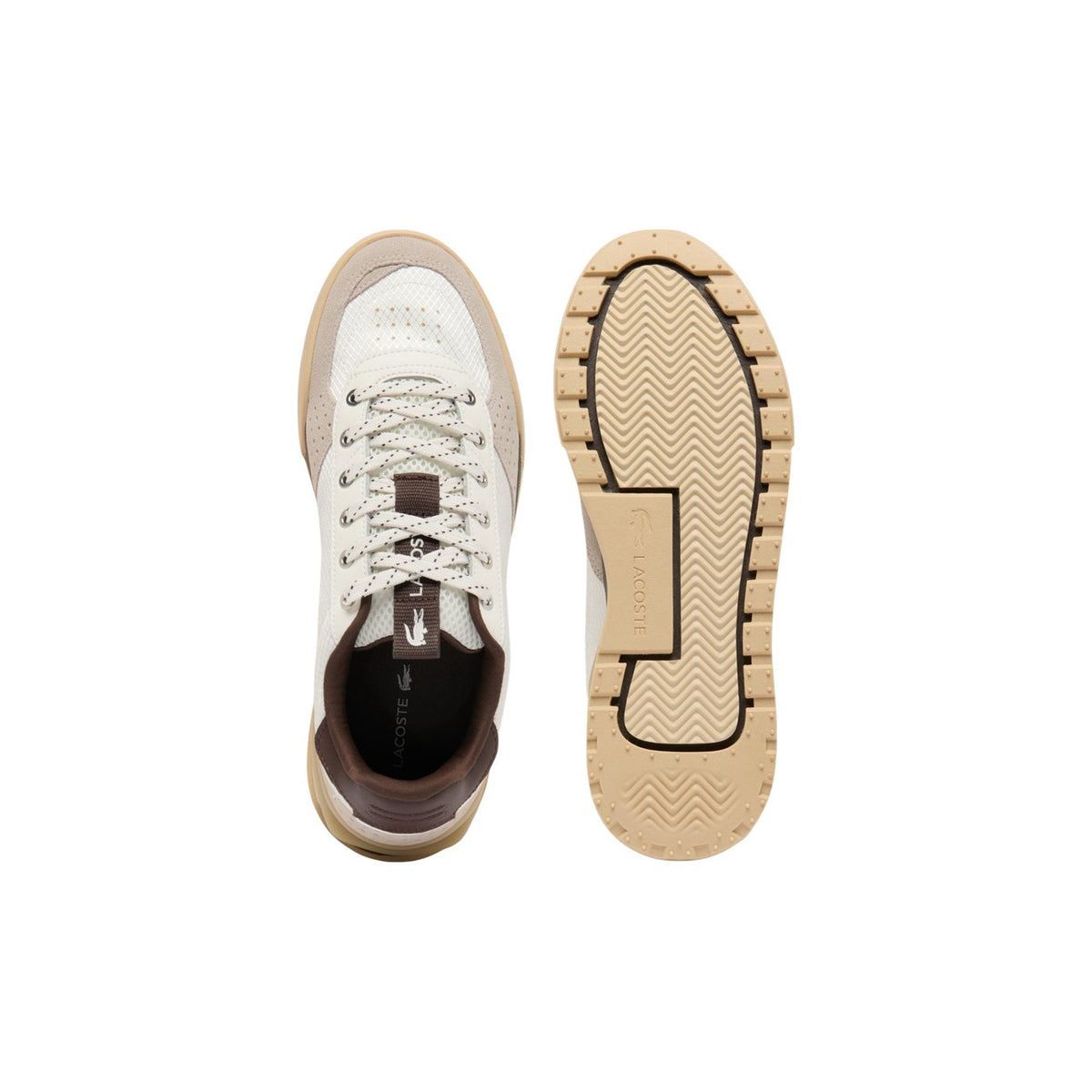 Lacoste Men Sneakers