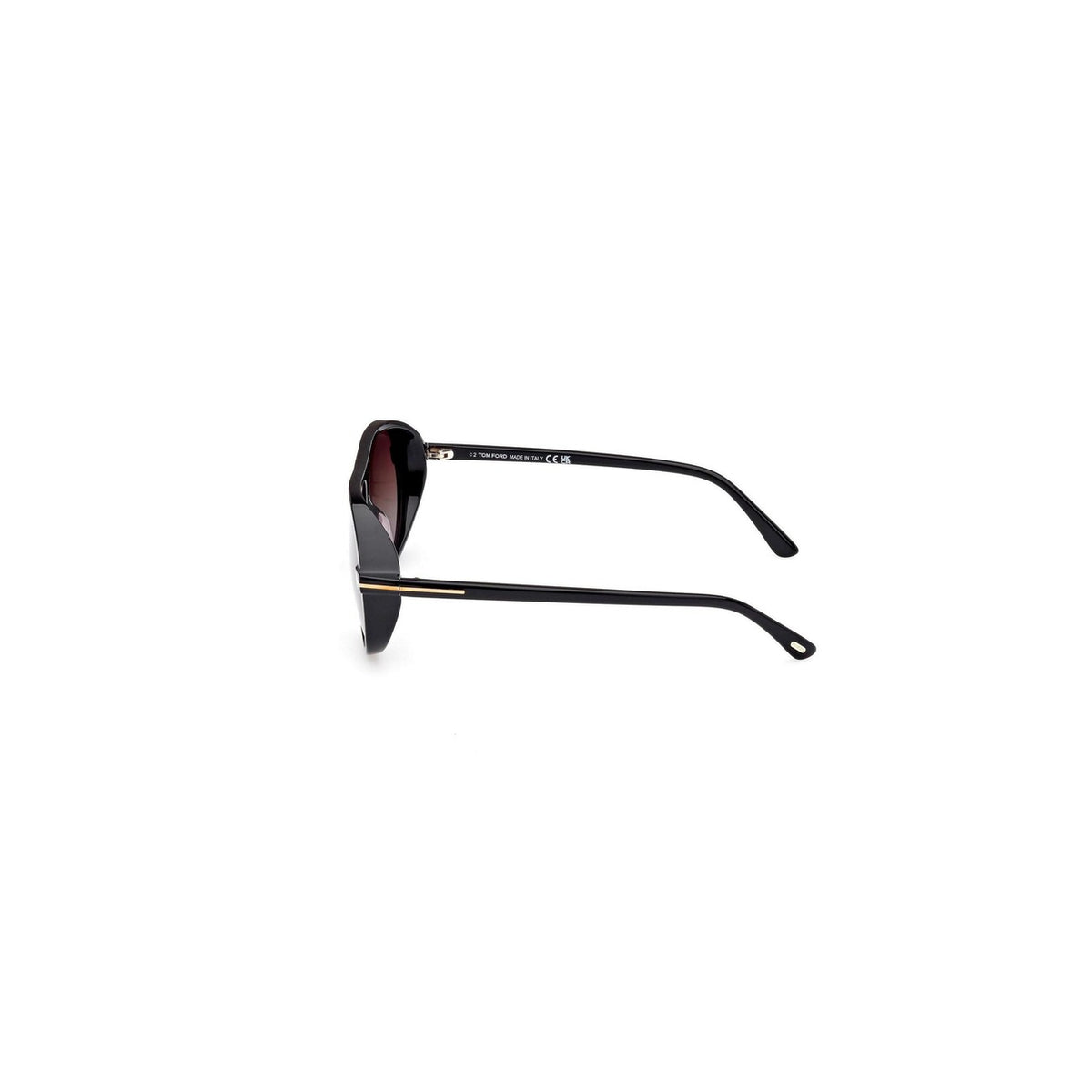 Tom Ford Men Sunglasses