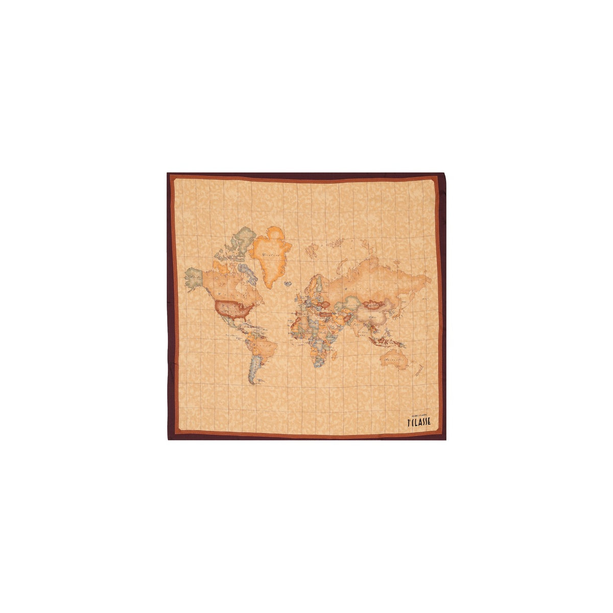 Alviero Martini Prima Classe  Women Scarve
