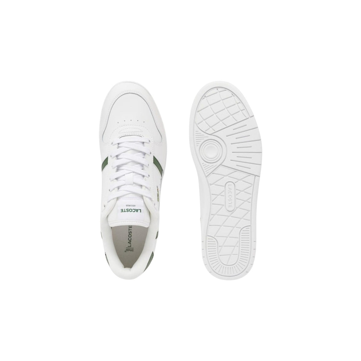 Lacoste Men Sneakers
